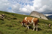 Dal Rif. Mulaz al Sasso Arduini e trekking del Cristo Pensante con anello del Monte Castellazzo il 14 agosto 1017 - FOTOGALLERY